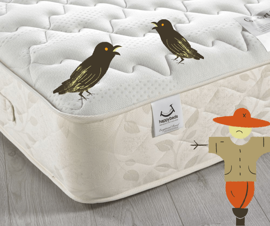 Happy Beds Registration and Sign Up Information happybeds Register