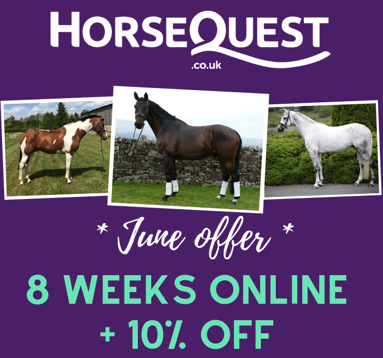 Horse Quest Registration and Sign Up Information horsequest