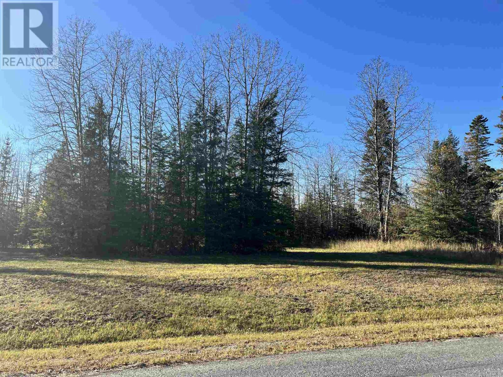 63 Spruce Street, Ear Falls, ON P0V1T0 Land For Sale RE/MAX TB243348