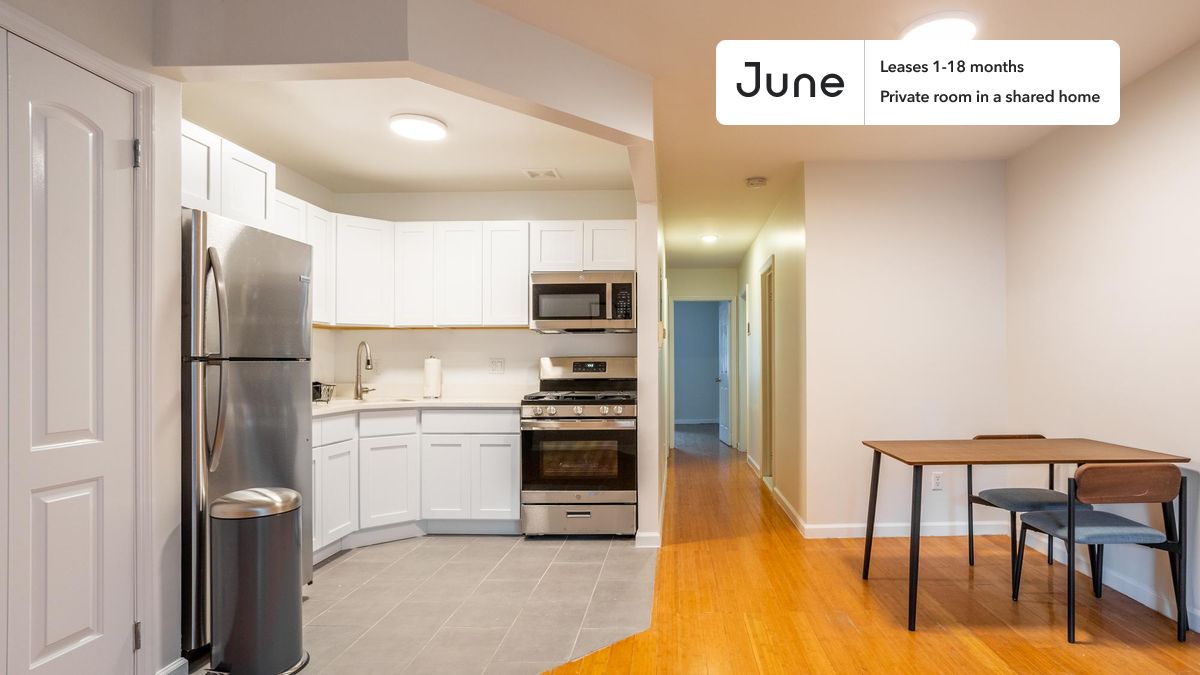 1594 Nostrand Avenue New York City, NY Apartment for Rent