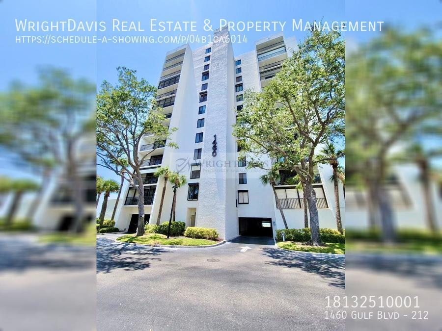 1460 Gulf Blvd Clearwater, FL Apartment for Rent Rentable