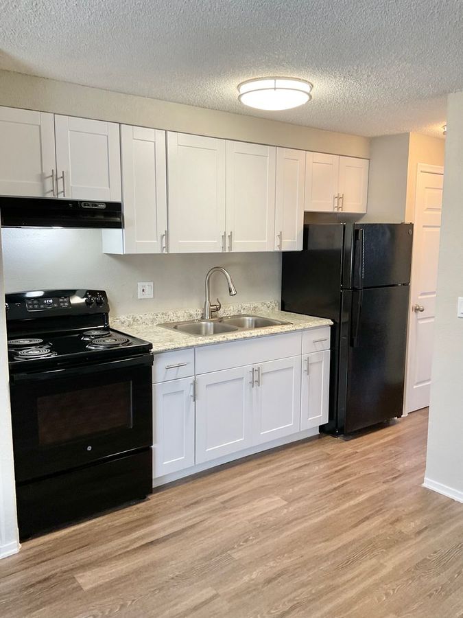 1363 N Clayton St Denver, CO Apartment for Rent Rentable