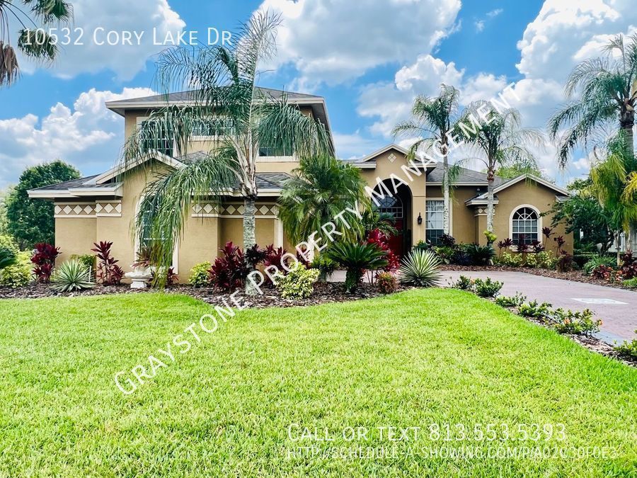 10532 Cory Lake Dr Tampa, FL House for Rent Rentable