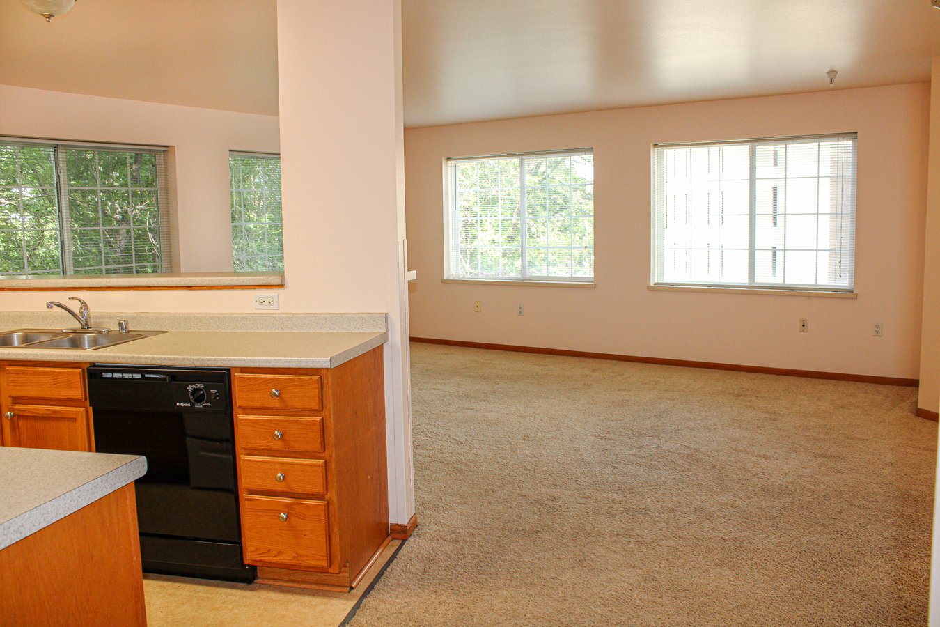 The Dayton House Apartments 1001 W Dayton St Madison, WI