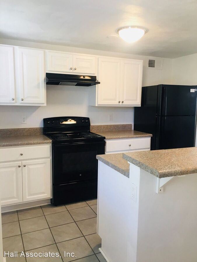 231 Chestnut St Salem, VA Apartment for Rent Rentable