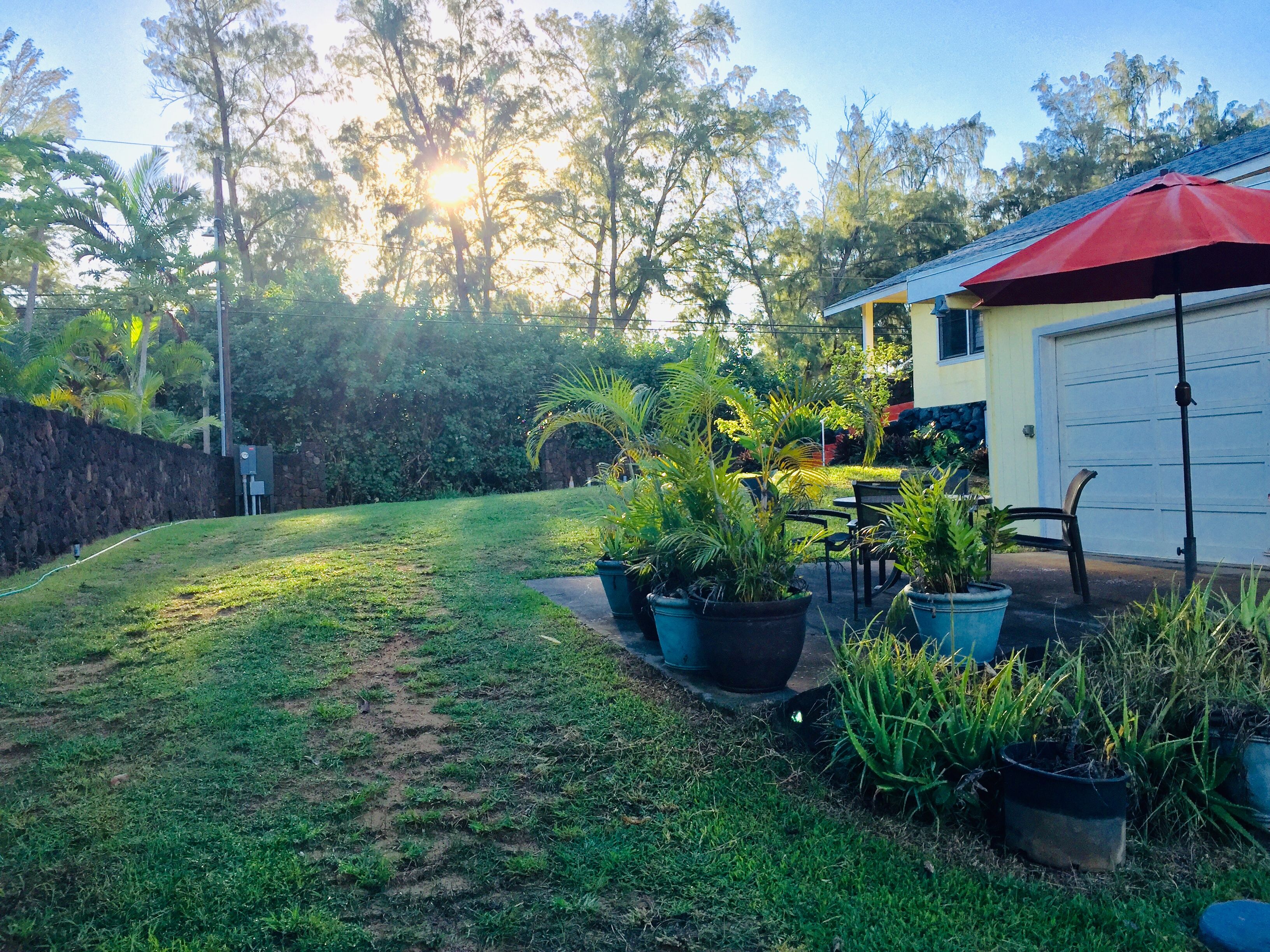 Hibiscus Hula Beach Cottage, Steps to Anahola Bay, TVNC 5067 Garden