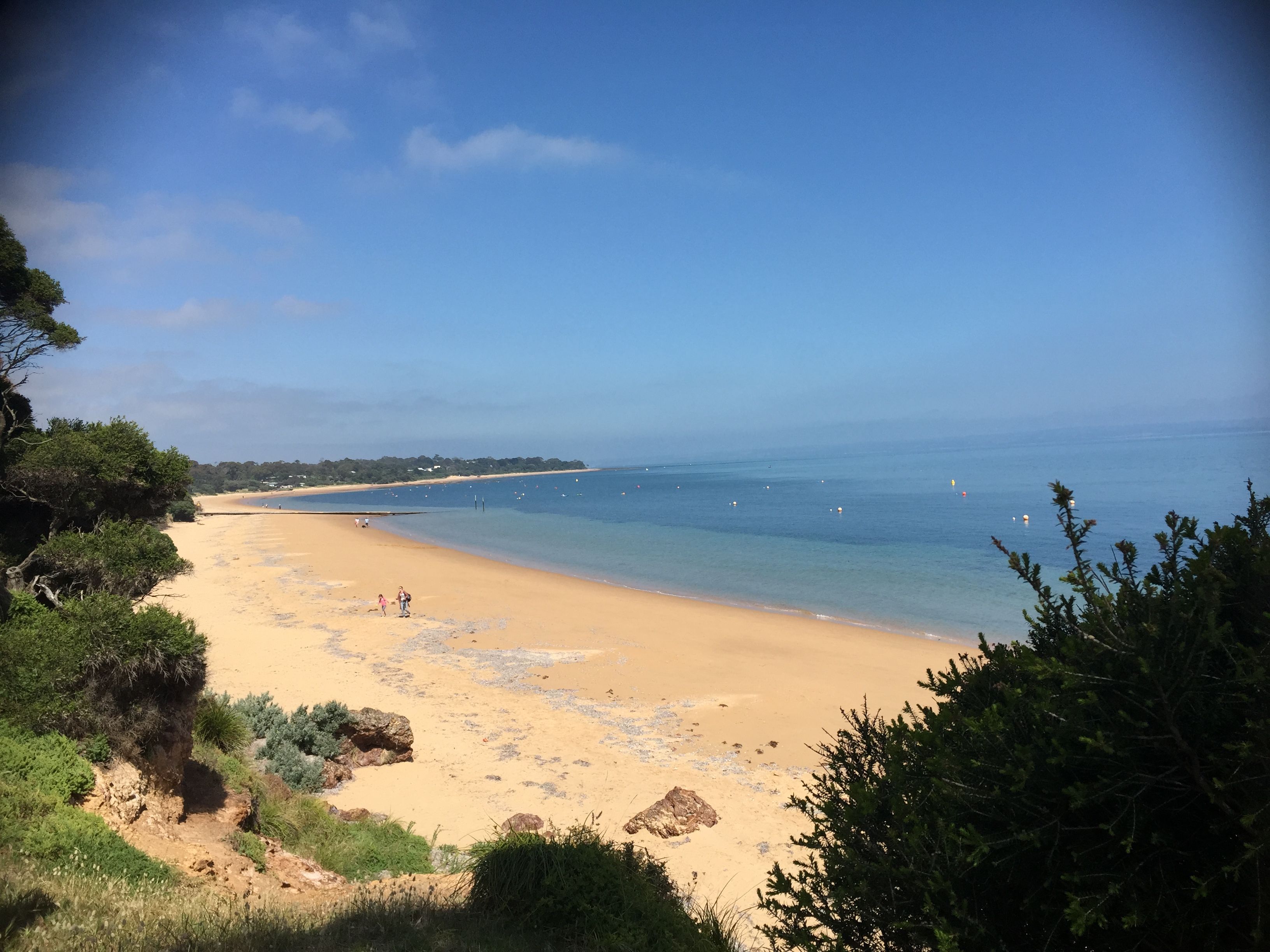 45 Anderson Road, Cowes Phillip Island Holiday Houses