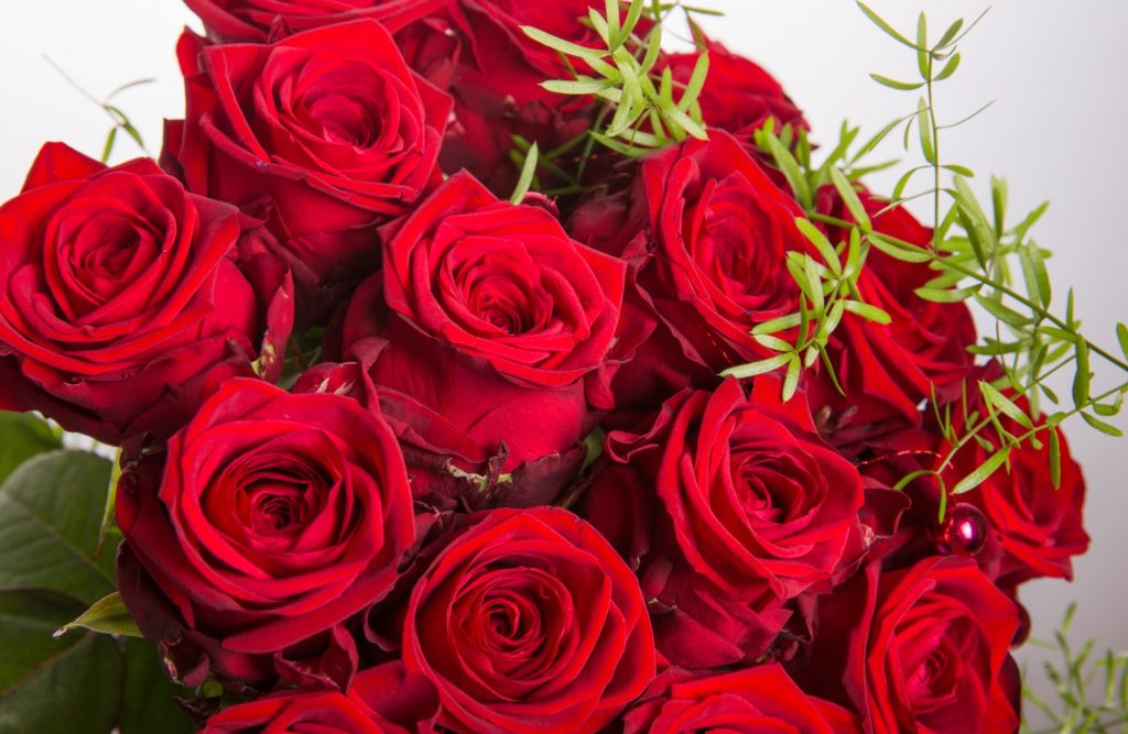 ShopRite readies for busiest floral shopping day of the year ROINJ