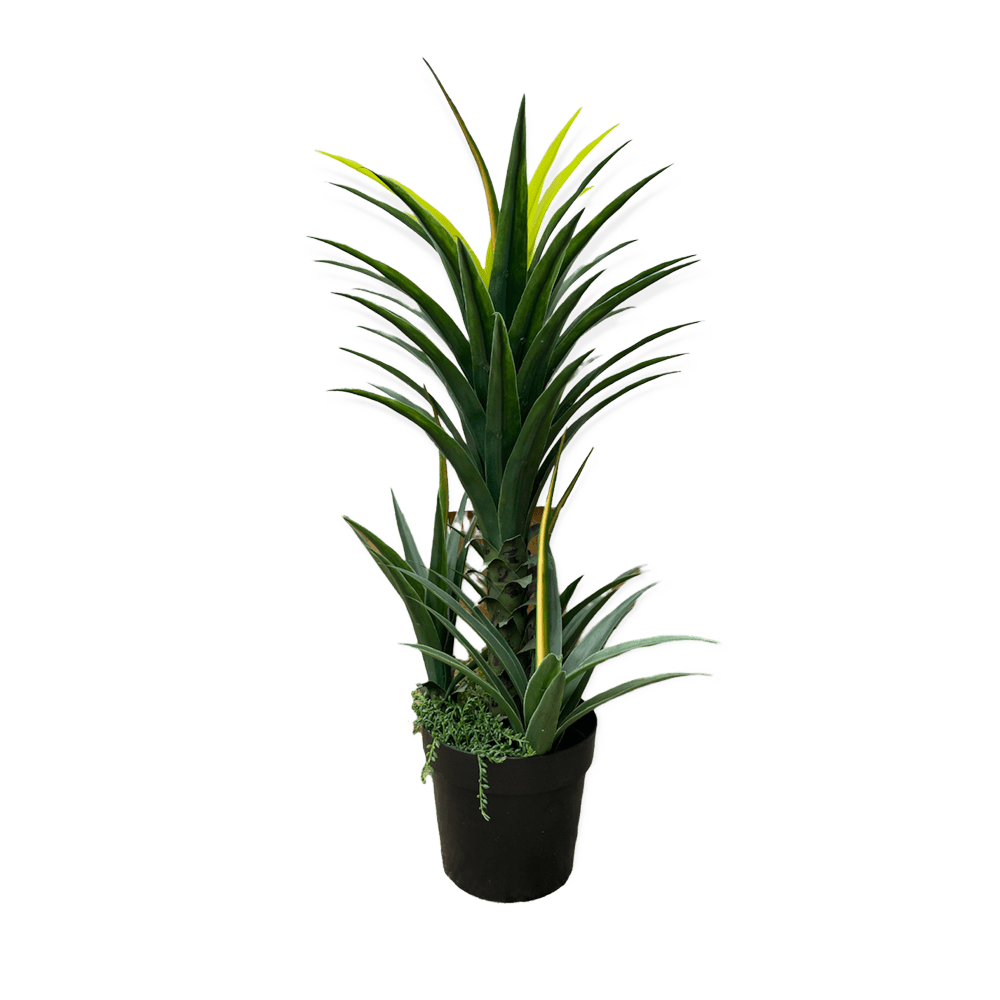 The Yukka Artificial Plant 120cm Array Wedding and Event Hire