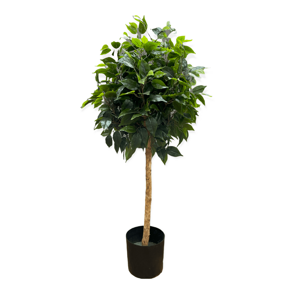 The Ficus Artificial Ball Tree 105cm Array Wedding and Event Hire