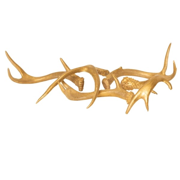 Gold Antlers rentals
