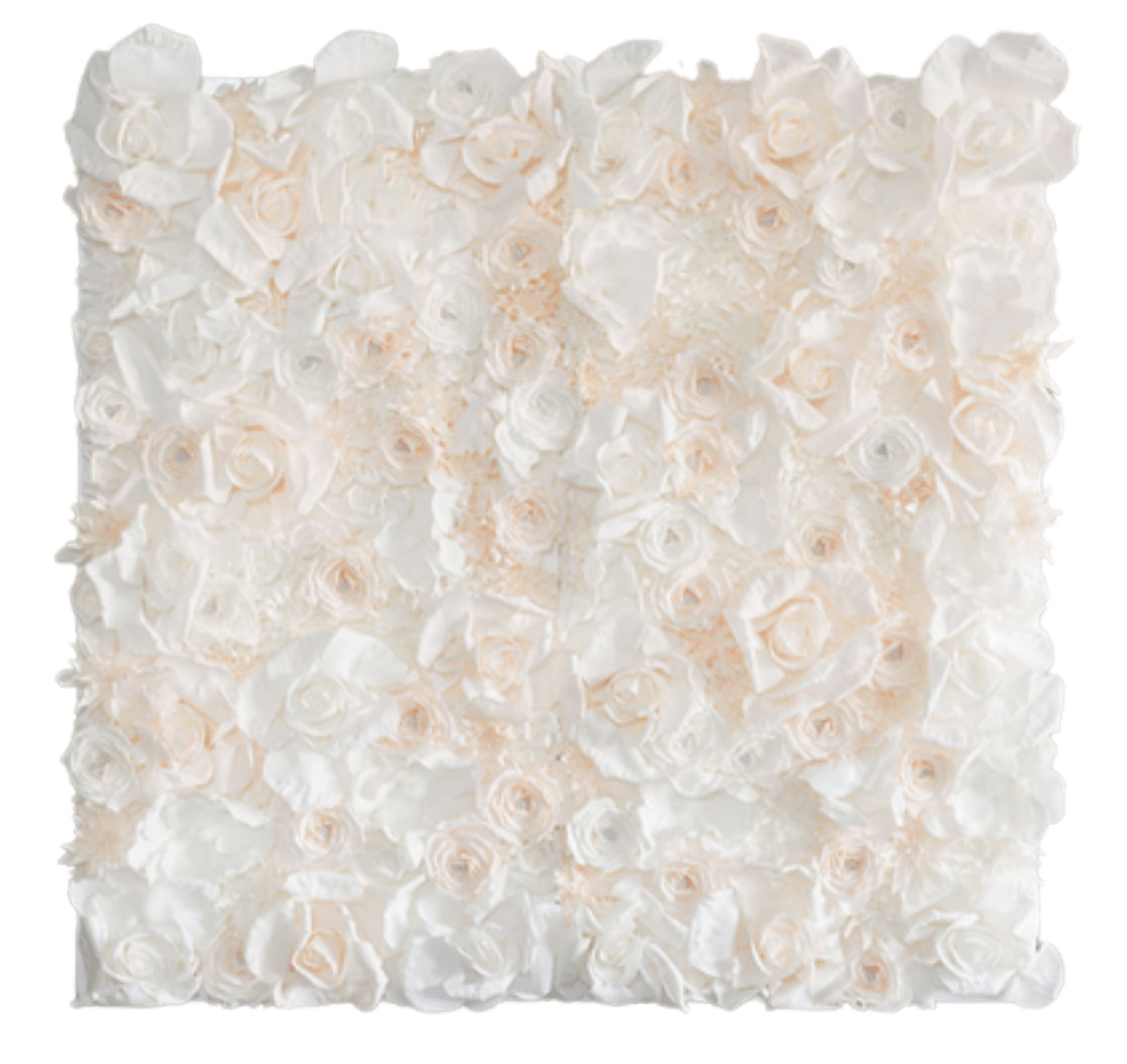 Flower Wall St. Johns Illuminations