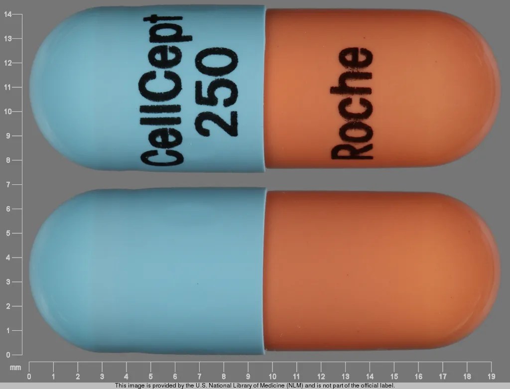 Side Effects of CellCept (Mycophenolate Mofetil), Warnings, Uses