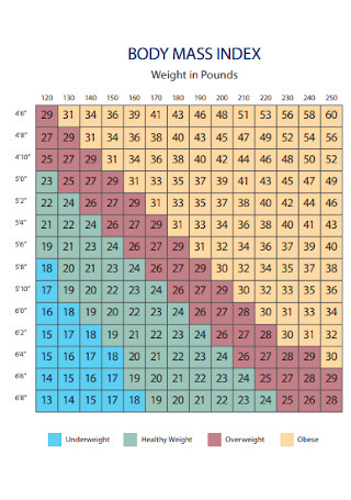 20+ FREE BMI Chart Samples to Download
