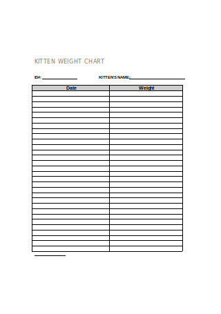 19+ FREE Weight Chart Samples to Download