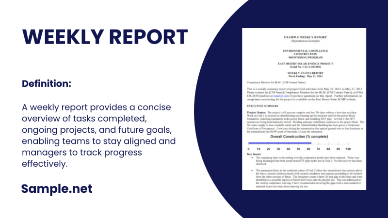 the report of the week net worth 2019