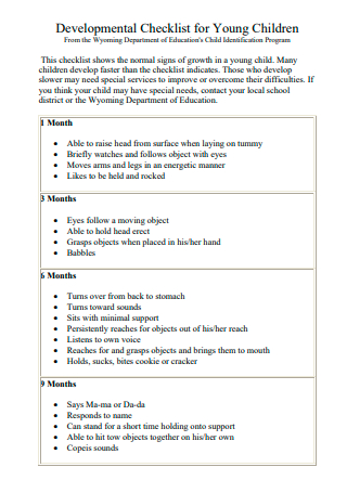15+ FREE Developmental Checklist Samples to Download