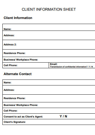 32+ FREE Client Information Sheet Samples to Download