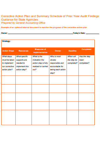 Corrective Action Plan