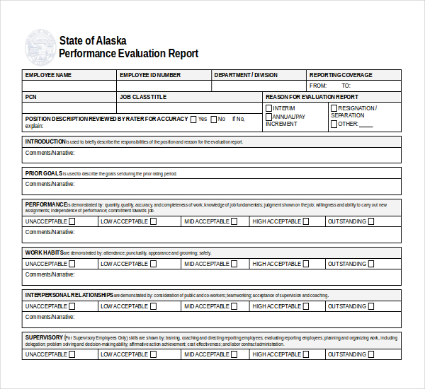 FREE 12+ Sample Performance Evaluation Forms in PDF Word