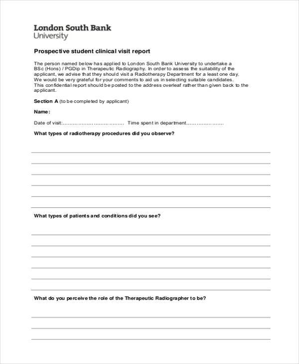 FREE 13+ Visit Report Form Samples, PDF, MS Word Google Docs