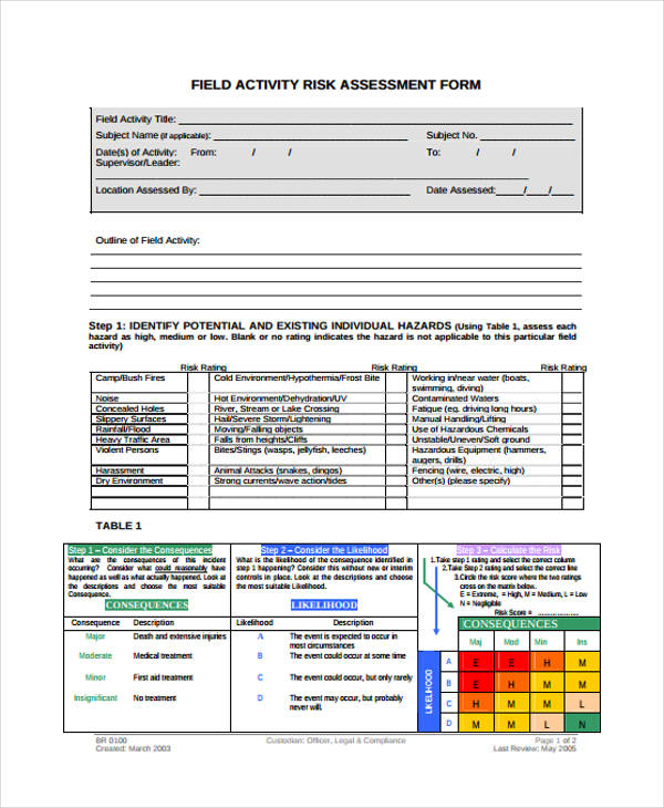 FREE 44+ Risk Assessment Forms in PDF MS Word