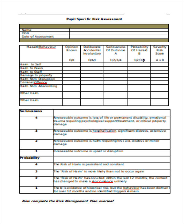 Sample Risk Assessment Form