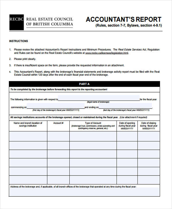 FREE 8+ Account Report Forms in PDF MS Word Excel