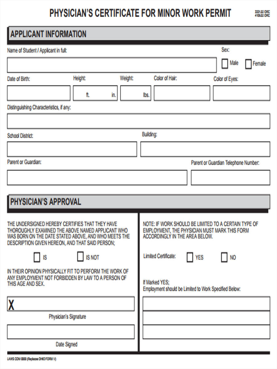 Download Work Permit Form buglost