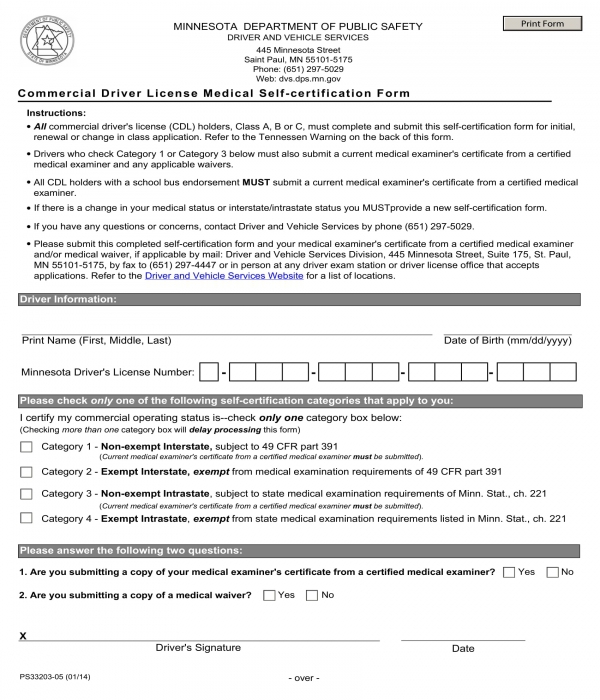 FREE 11+ SelfCertification Forms in PDF MS Word