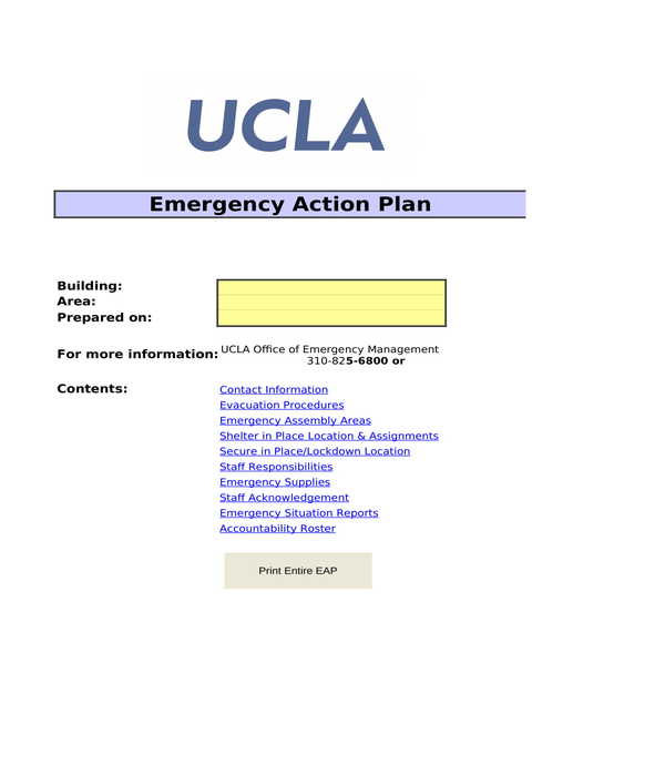 Printable Emergency Action Plan Template