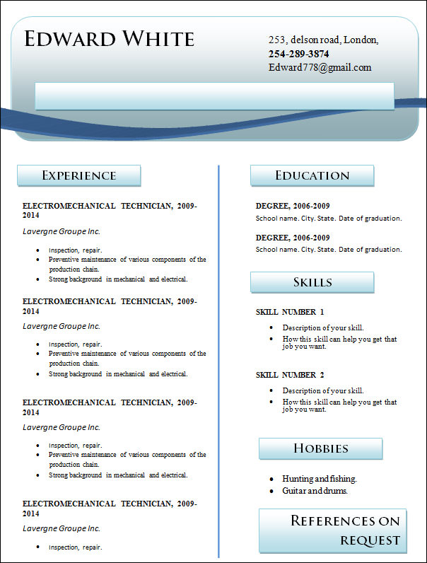 FREE 17+ Professional Resume Templates in MS Word