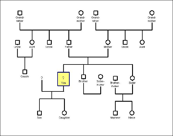 Sample Genogram Template 15+ Free Documents in PDF, Word