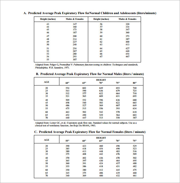 6+ Peak Flow Chart Templates Sample Templates