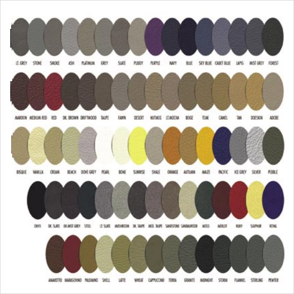 FREE 11+ Sample General Color Chart Templates in PDF MS Word