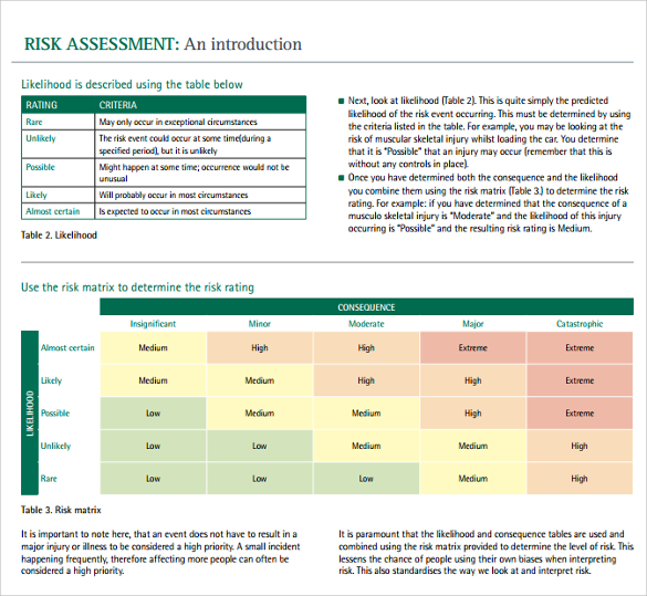 12+ Sample IT Risk Assessment Templates Sample Templates