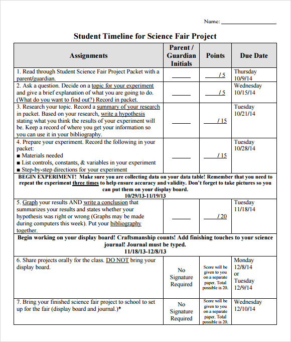 FREE 8+ Timeline for Student Samples in PDF