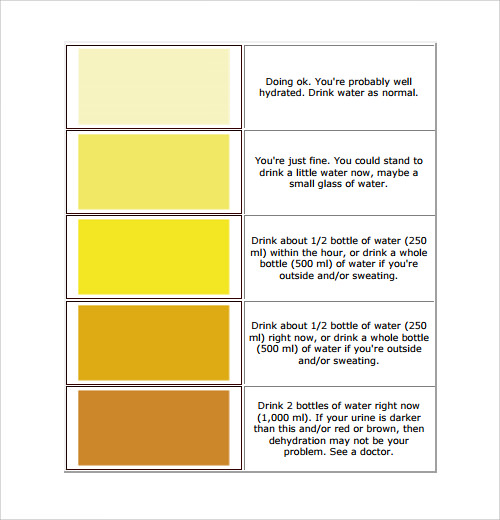 FREE 25+ Sample Color Chart Templates in PDF MS Word