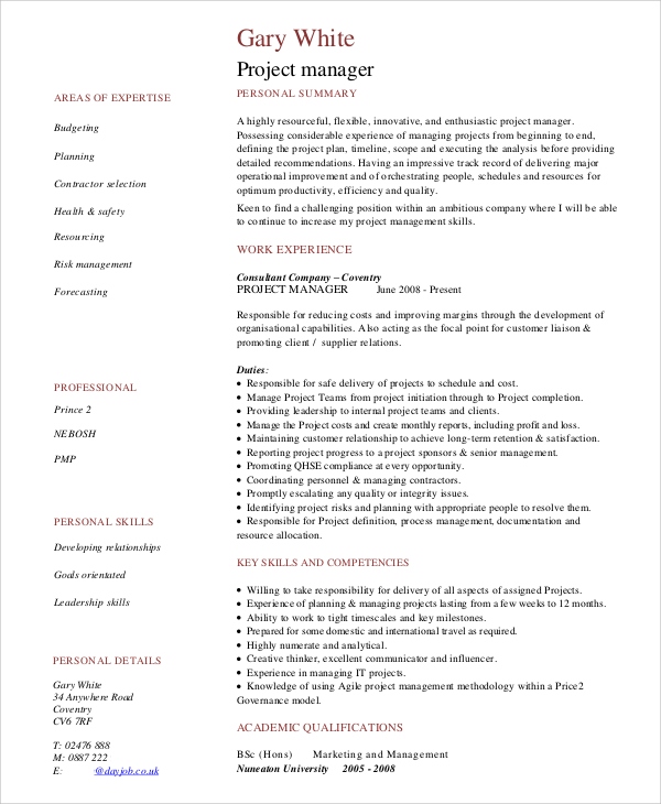 FREE 17+ CV Examples in MS Word PDF Pages PSD