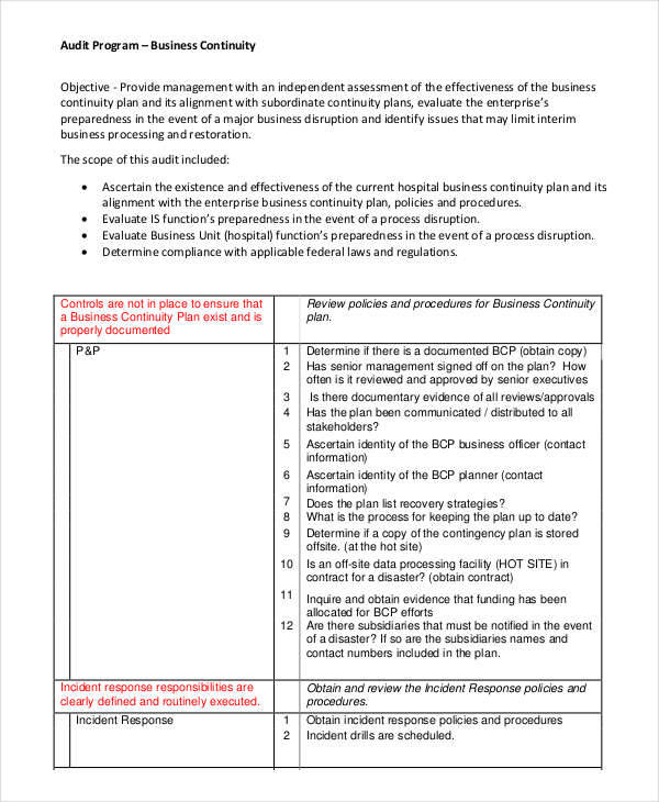 FREE 6 Audit Program Samples & Templates in PDF MS Word
