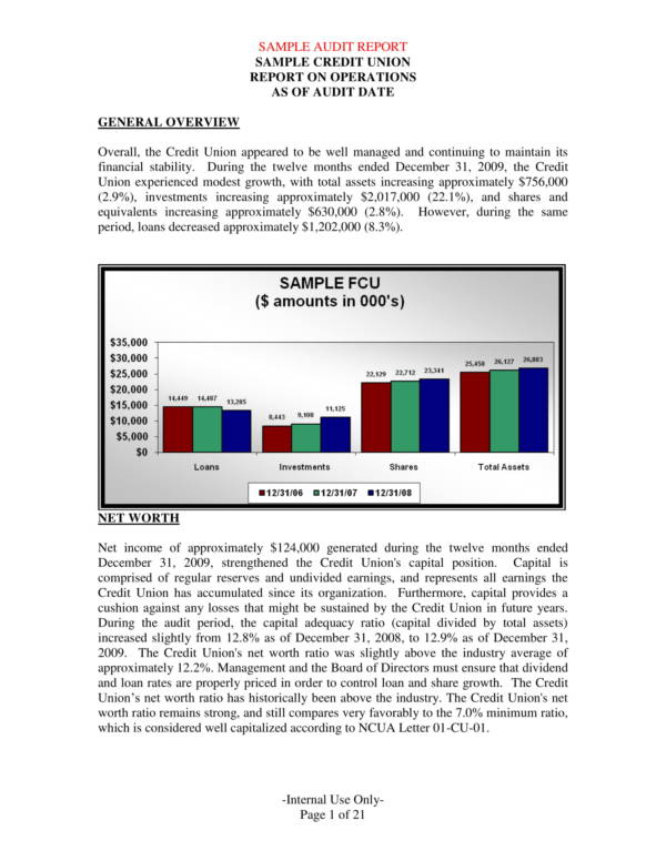 FREE 8+ Daily Audit Report Samples & Templates in PDF MS Word