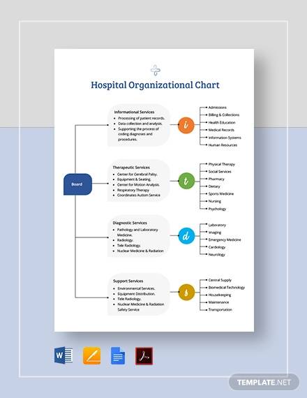 FREE 9+ Sample Hospital Organizational Chart Templates in PDF | Google