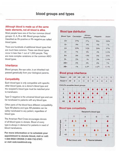 FREE 8+ Blood Type Chart Samples in PDF | DOC