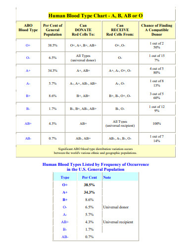 FREE 8+ Blood Type Chart Samples in PDF | DOC