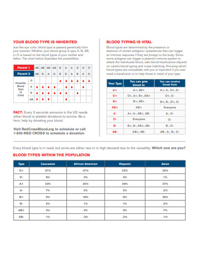 FREE 8+ Blood Type Chart Samples in PDF | DOC