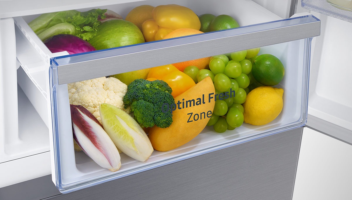 Samsung Bottom Mount Freezer Fridge (290L, RB30N4050B1/SS) Price