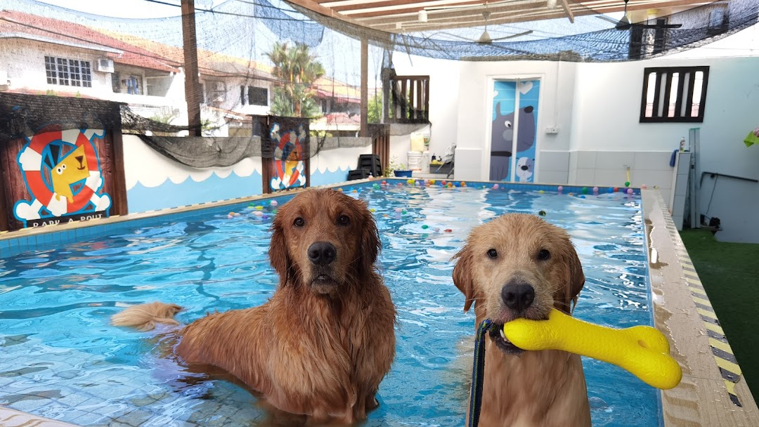 11 Pet Boarding Services & Hotels In The Klang Valley.