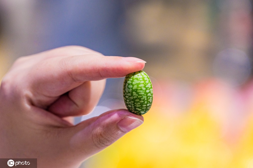 These 'Baby Watermelons' Are The Size Of Your Thumb... And They're So Cute!