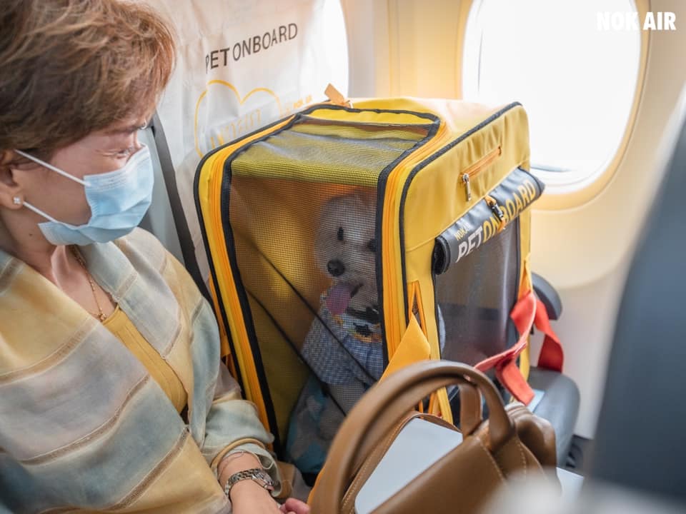 Thai Airline's PetOnBoard Package Lets Passengers Bring Their