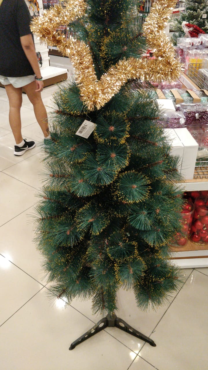 Where To Buy Christmas Trees In Malaysia